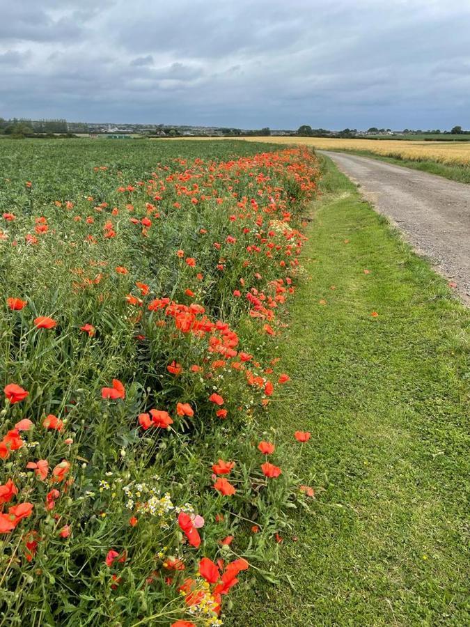Roe Deer Meadow At Carr House Farm Hotel สการ์โบโรห์ ภายนอก รูปภาพ